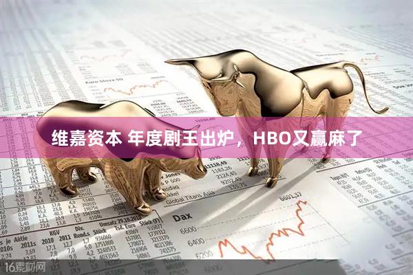 维嘉资本 年度剧王出炉，HBO又赢麻了
