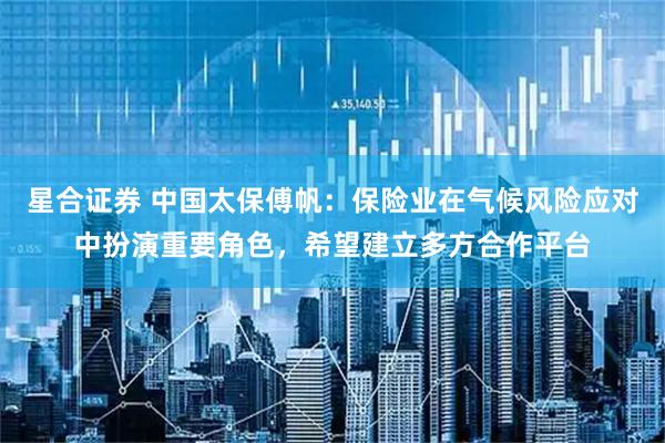 星合证券 中国太保傅帆：保险业在气候风险应对中扮演重要角色，希望建立多方合作平台