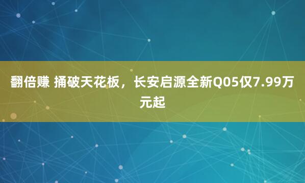 翻倍赚 捅破天花板，长安启源全新Q05仅7.99万元起