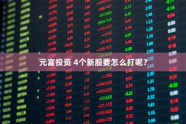 元富投资 4个新股要怎么打呢?