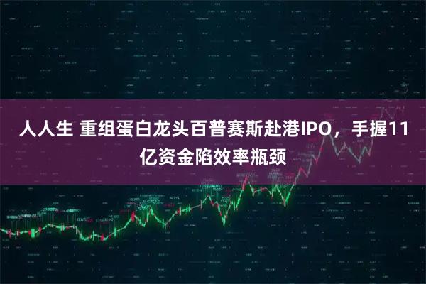 人人生 重组蛋白龙头百普赛斯赴港IPO,手握11亿资金陷效率瓶颈