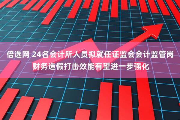 倍选网 24名会计所人员拟就任证监会会计监管岗 财务造假打击效能有望进一步强化