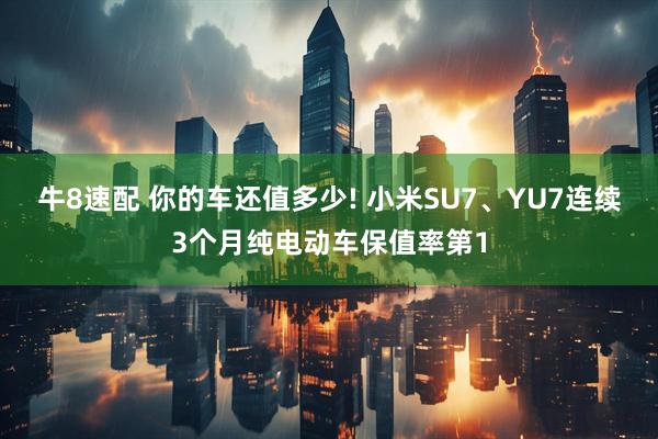 牛8速配 你的车还值多少! 小米SU7、YU7连续3个月纯电动车保值率第1